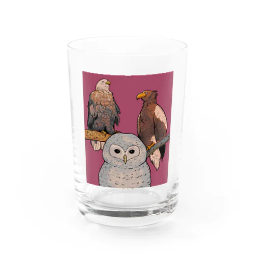 猛禽類の集い Water Glass