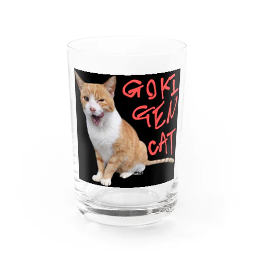 茶白猫 Water Glass