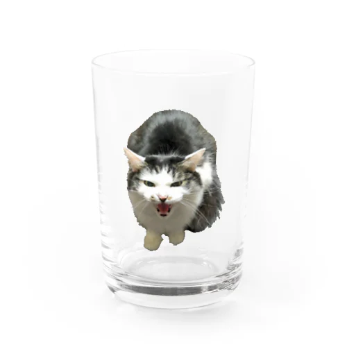 Canvaが切り抜いたチビゴン Water Glass