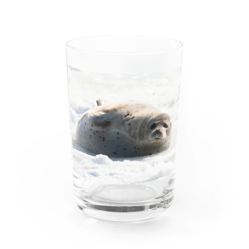 【Good Luck】宗谷岬でアザラシとの出会い Water Glass