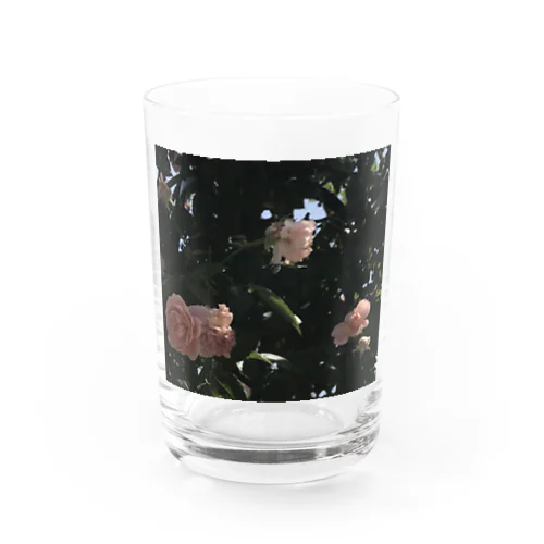 グリーンとピンク Water Glass