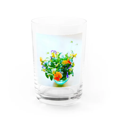ビオラ Water Glass