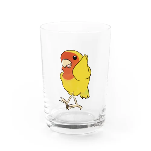 コザクラインコ（ダンシング） Water Glass