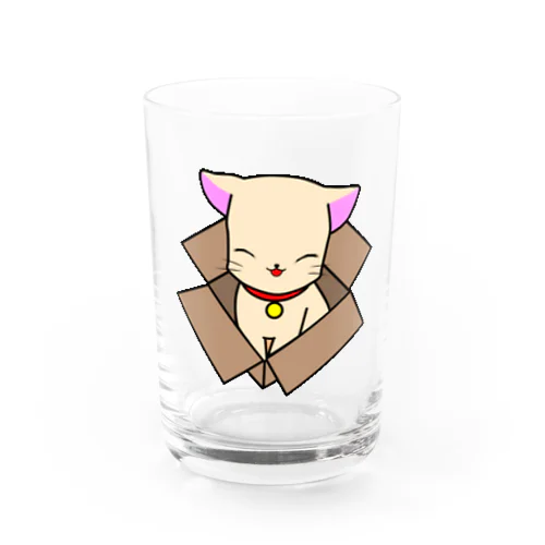 箱入り娘（猫） Water Glass