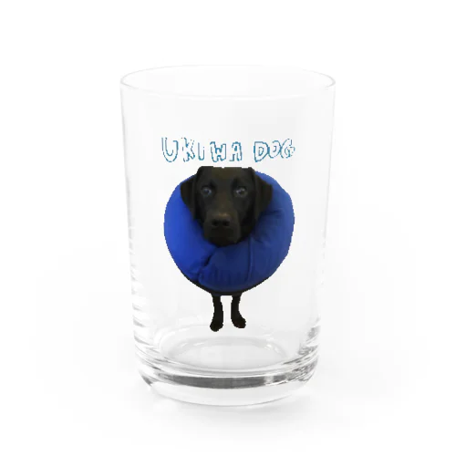 クロエ Water Glass