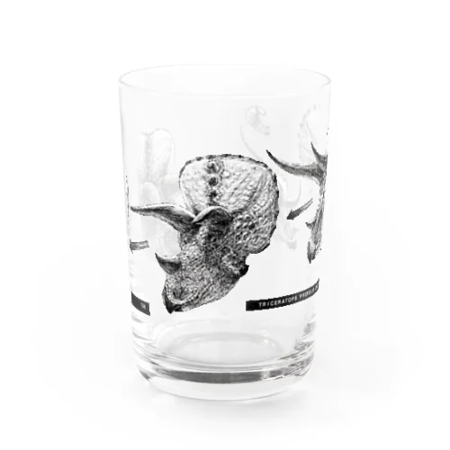 Triceratops prorsus growth series Water Glass