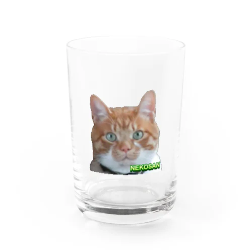 ひょっこり猫さんCOL. Water Glass