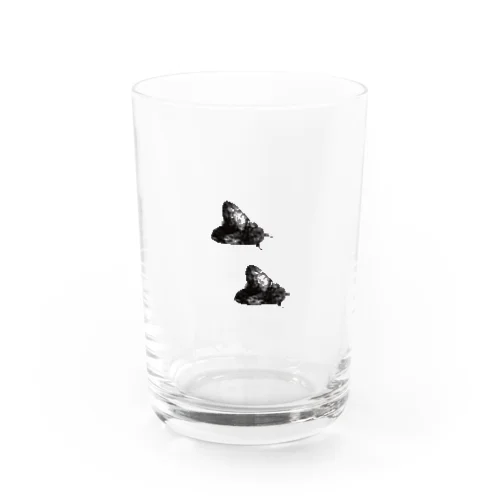 2匹のシャチホコガ Water Glass