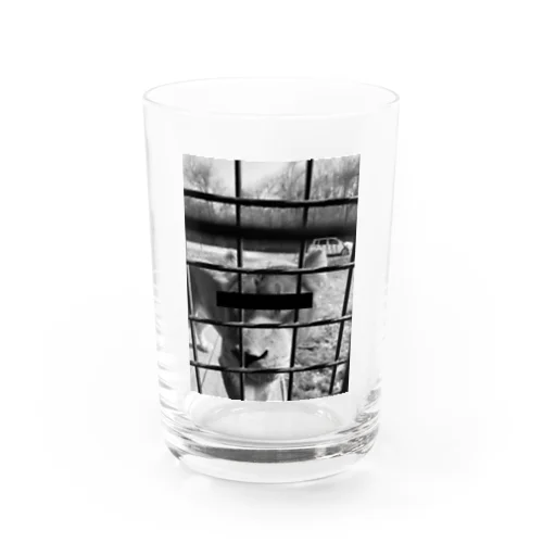 ライオン Water Glass