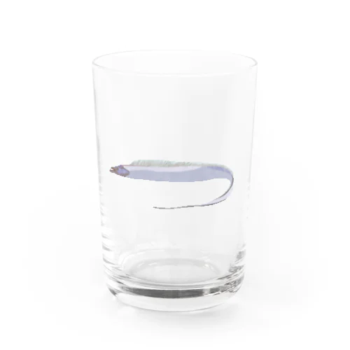 やっぱり太刀魚が好き Water Glass