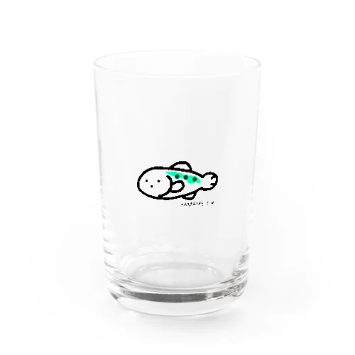 やまめ　ちゃん Water Glass