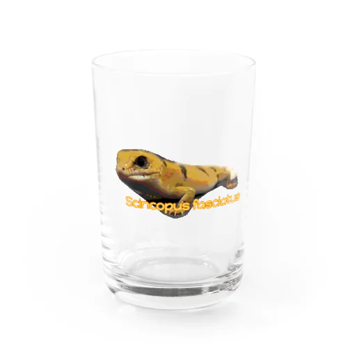 ピーターズバンデッドスキンクのとらちゃん Water Glass