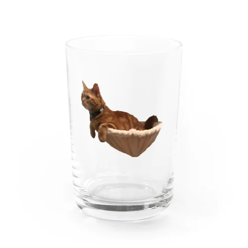 みりん Water Glass