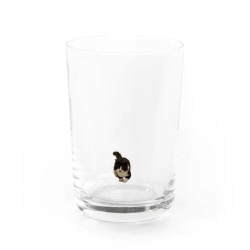 ドンドンちゃん Water Glass