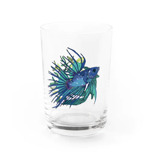 ベタ（クラウンテール）グラス Water Glass