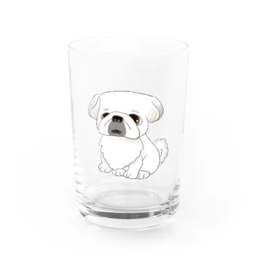 もっちりペキニーズ Water Glass