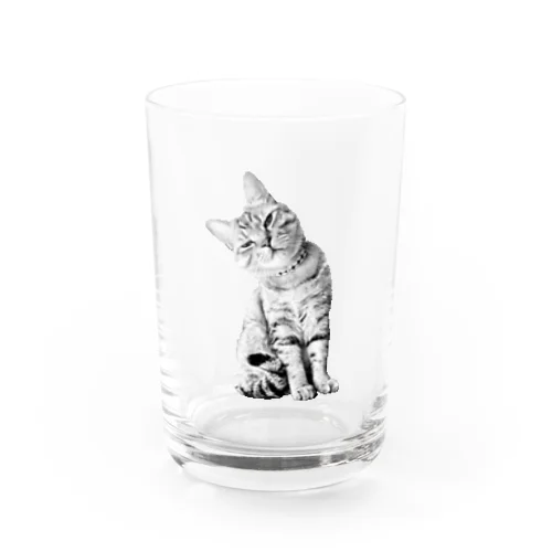 モノクロニャンコ Water Glass