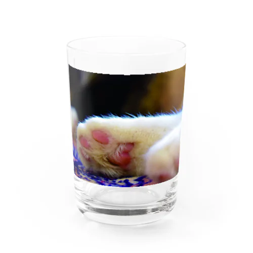 猫の手 Water Glass