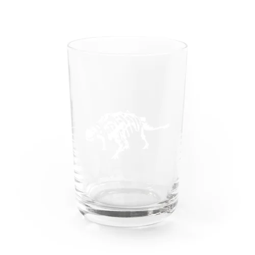 みんな大好きアンキロサウルスの骨 Water Glass