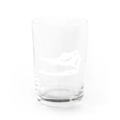 みんな大好きスピノサウルスの骨 Water Glass