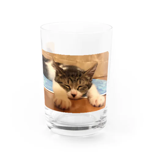 飛べるポーズで眠るパル～南の島のにゃんこ～ Water Glass