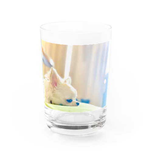 しじみちゃん Water Glass