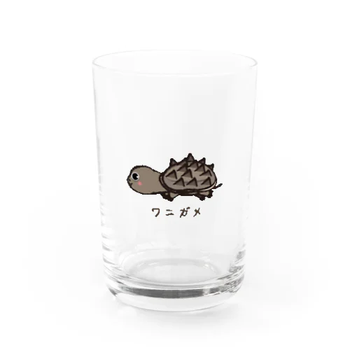 ワニガメちゃん Water Glass