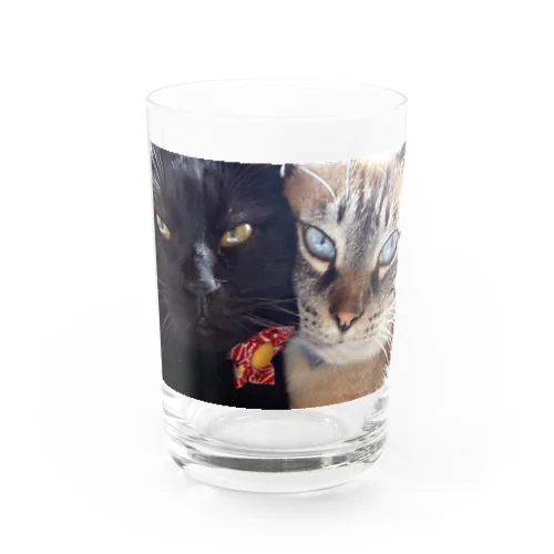 なかよしジャンポン02 Water Glass