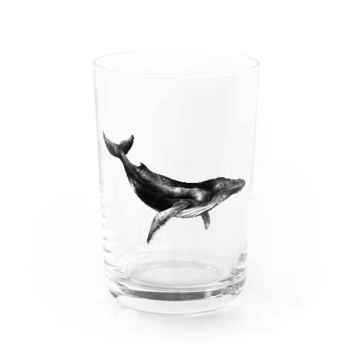 クジラA Water Glass