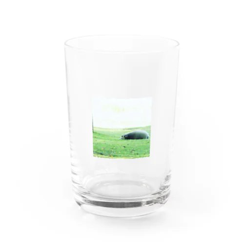 ひつじ Water Glass