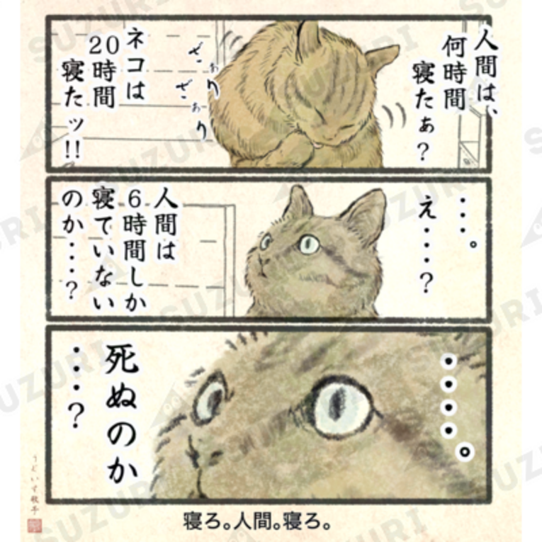 ここねさん専用ページ 筆ごこち 黒 (LS1-10S)